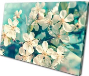 photo canvas prints