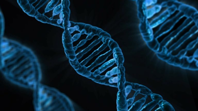 Starting and Growing a Life Science Business