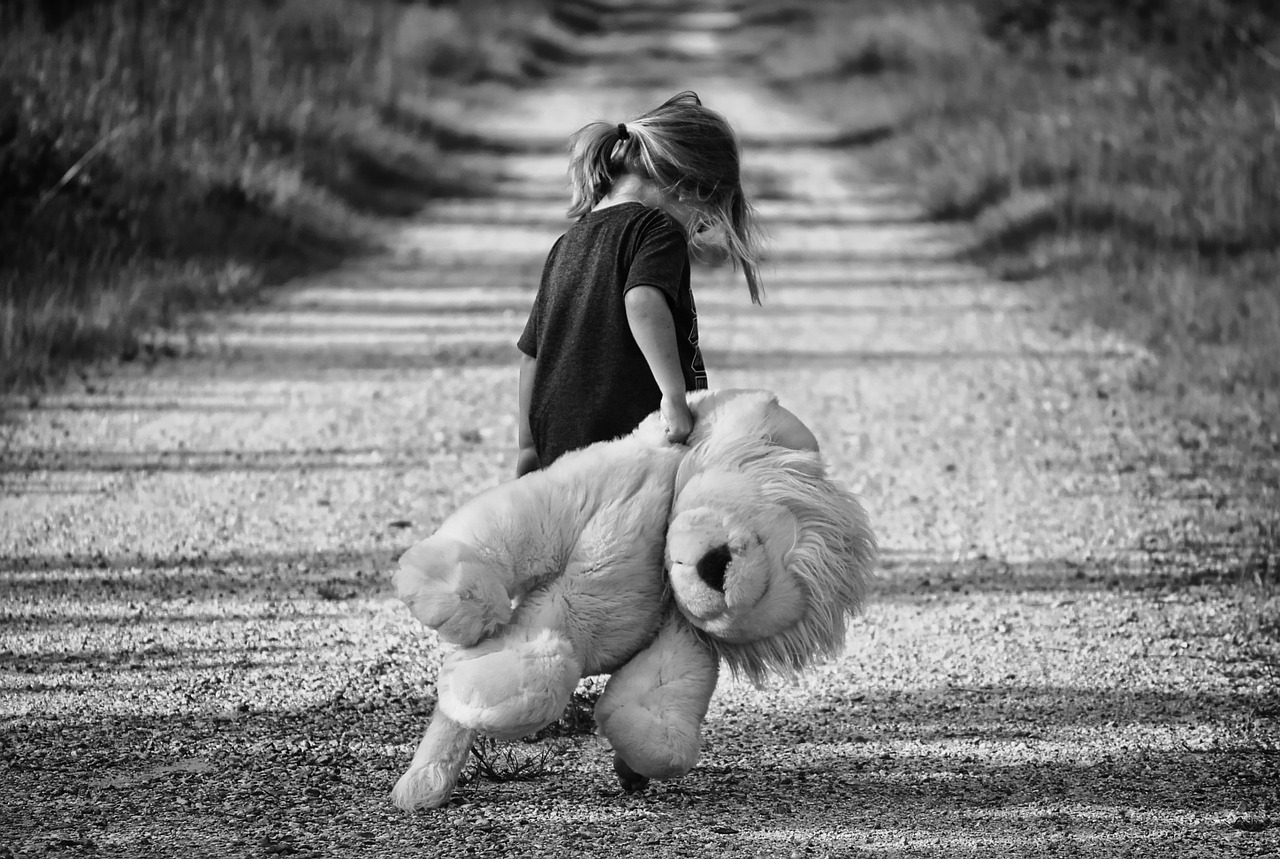 teddy bear